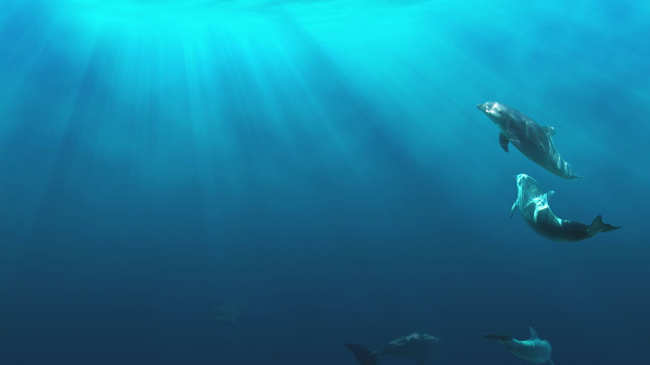 Dolphin PS2 YouTube