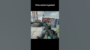Kriss vector in delta force is goated.