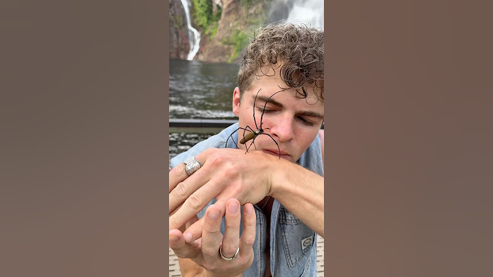 Fear Of Spiders Challenge! #shorts