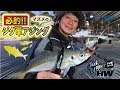 【アジング】離島で尺アジを狙う！～マズメのジグ単アジング～【Ajing】