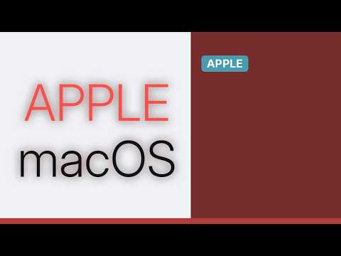 Apple: When writing AppleScript in Automator, what is the significance of "input" and "parameters"?