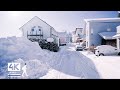 3 hours of beautiful snow walks in finland  slow tv 4k