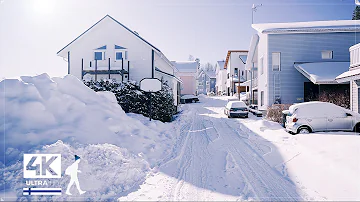 3 Hours of Beautiful Snow Walks in Finland - Slow TV 4K