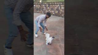 Download Lagu #prank #lucu #ngakakkocak #indovidgram #ngakak #videolucu #funnyvideo #uzbekistan #baper #kocak#cow MP3 Download Lagu #prank #lucu #ngakakkocak #indovidgram #ngakak #videolucu #funnyvideo #uzbekistan #baper #kocak#cow MP3