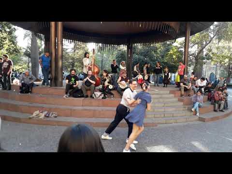 Happy feet en Plaza de armas de Santiago