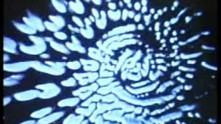 Project503 Feed It Back Demo April 2006 Excerpt