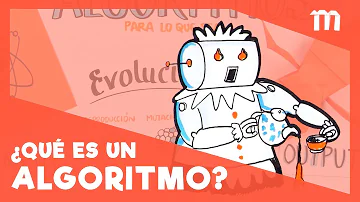 ¿Cuáles son los elementos o partes de un algoritmo?