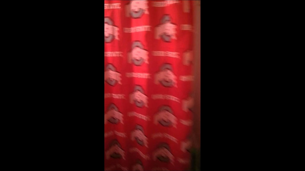 Hunter singing what does the fox say 