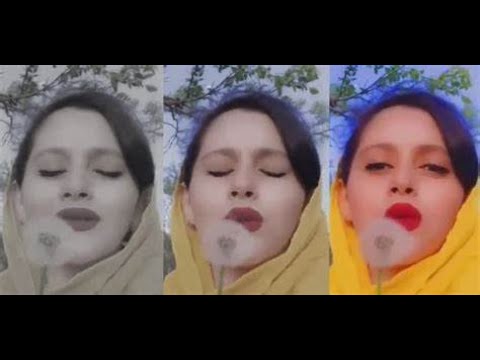 زرد ملیجه درس 62 هنرستان موسیقی تار سه تار گیلان صبا کایر یارمحمدی زن زندگی آزادی