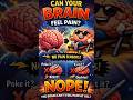 🧠 “Your Brain Feels EVERYTHING… Except Pain 😱