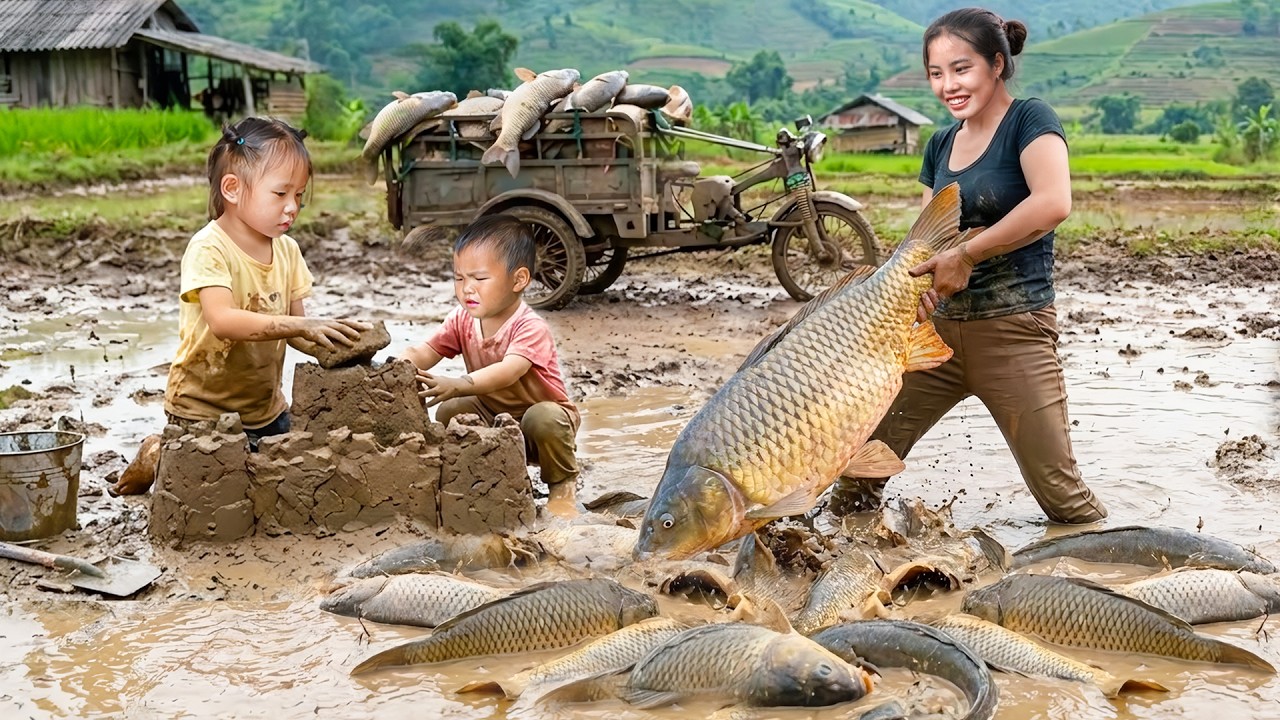 Catching a Big School of Fish for the Market | Warm Bath and Nutritious Porridge for My Kids