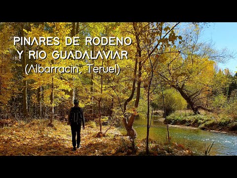 Paraje Pinares de Rodeno - Río Guadalaviar (Albarracín, Teruel)