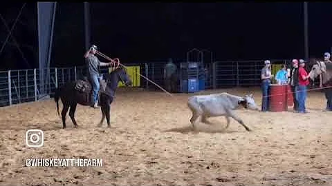 35354ea1141c42889d6dda440813f7eb