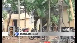 ELEPHANT ATTACK IN THRISSUR KERALA 2015
