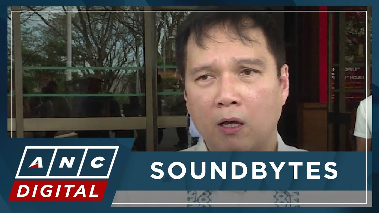 Rep. Roman: House franchise panel would probe Leviste's solar firm if reso referred | ANC