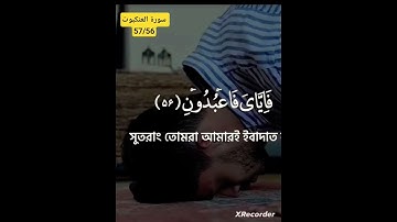 #آيات #سورة العنكبوت#بصوتى #ماشاءالله #تبارك_الخالق #المصحف #اكسبلور #المصحف #ترند
