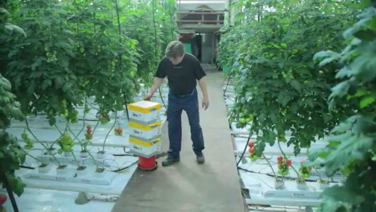 PARI polttoöljyjen lisäaineen käyttökokemus S&S Fred Oy:llä