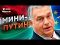 Венгрия НЕ ПУСКАЕТ Украину в ЕС 😡 Причина — ЗАКАРПАТЬЕ?