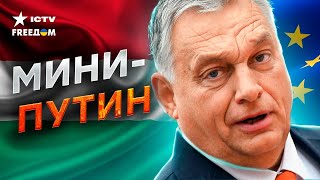 Венгрия НЕ ПУСКАЕТ Украину в ЕС 😡 Причина — ЗАКАРПАТЬЕ?