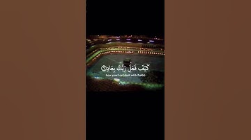 #راحة_نفسية #القرآن_الكريم  القارئ علي جابر 🤍