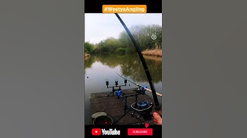 Having your baitrunner drag set right can be the difference between losing and landing a fish!