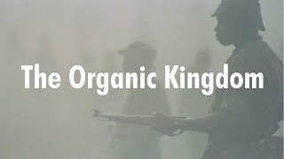 The Organic Kingdom - Angola '64