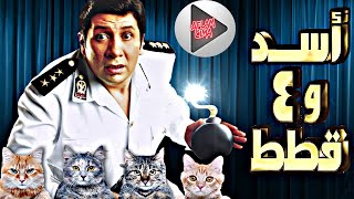 فيلم اسد واربع قطط كامل ❤ HD1080p ❤ هانى رمزى وحسن حسنى و 4 كاتس