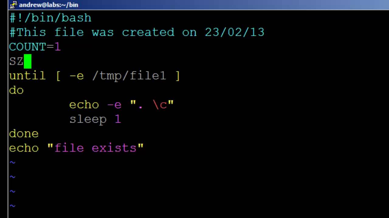 Bash скрипты. For Bash. For loop Linux. Bash скрипт цветной. Bash function