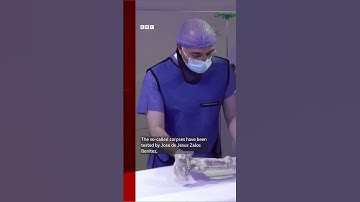 These viral “alien bodies” have undergone lab tests in Mexico. #BBCNews