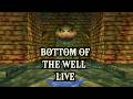 LevelupDAN plays ZELDA | Bottom of the Well