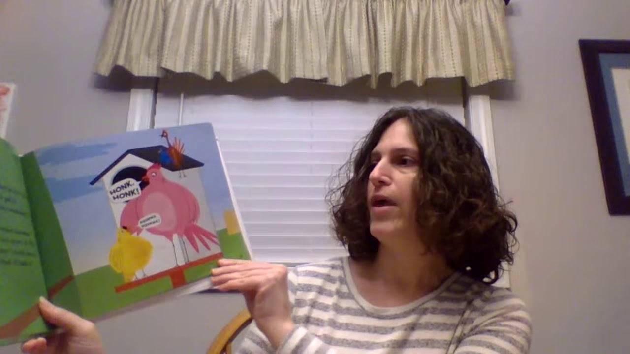 A HOUSE FOR BIRDIE YouTube