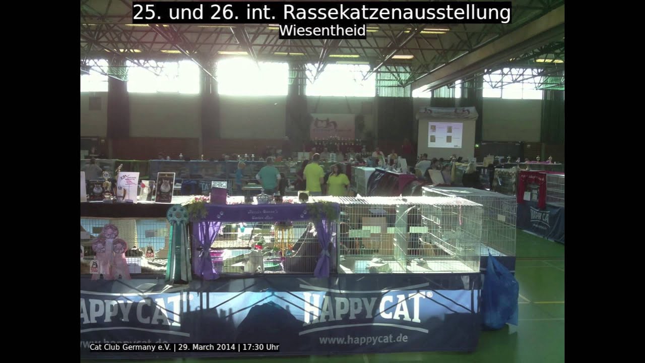 25. und 26. internationale Rassekatzenausstellung des Cat Club Germany YouTube