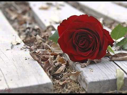 نشيد اسلامي احمد ربك