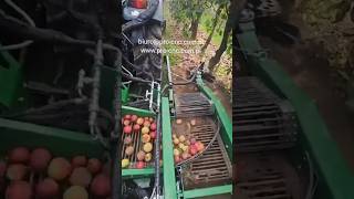 Easy Picker || Apple 🍎 Harvester || Made By Pro_Cnc Poland || #Shorts