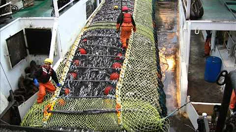 Pollock Fishing in the Bering Sea, Alaska