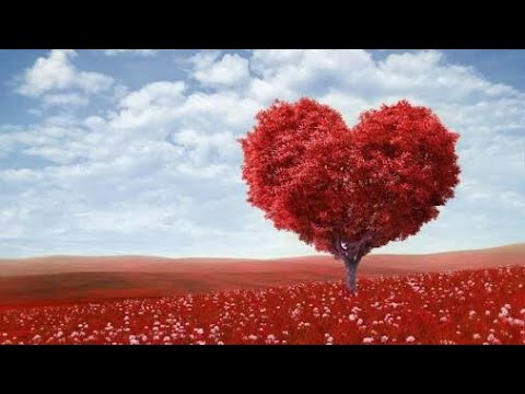 Whatsapp Love Status Video#2017(20Sec)