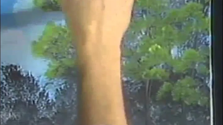 Bob Ross : Motivation to keep painting