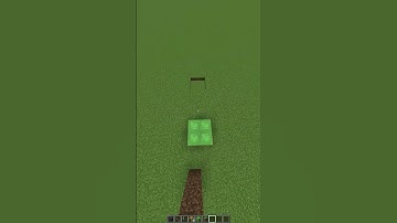 Minecraft: Non-Euclidian Portal Illusion??..🤨