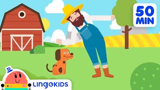 BINGO THE DOG  More Popular Songs for Kids | Lingokids