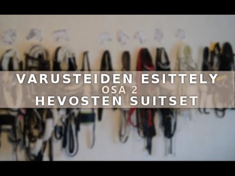 Video: Kohtaukset Hevosissa - Hevosten Kohtaushoito