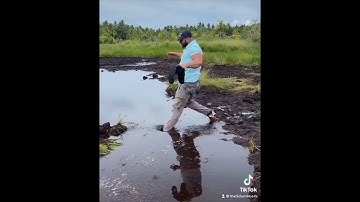 Man Plunges Into Muddy Water After Taking A Shortcut [Video Leaves Netizens Amused]