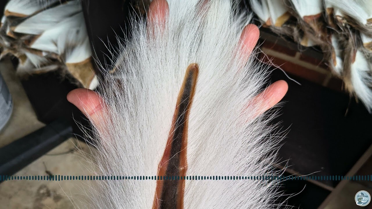 S8 Ep 5 Frosty Mornings and Musky Pursuits - January Fishing Insights with Ellis Ward