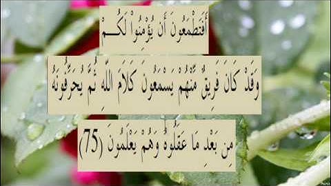 القران الكريم سورة البقرة الاية 75