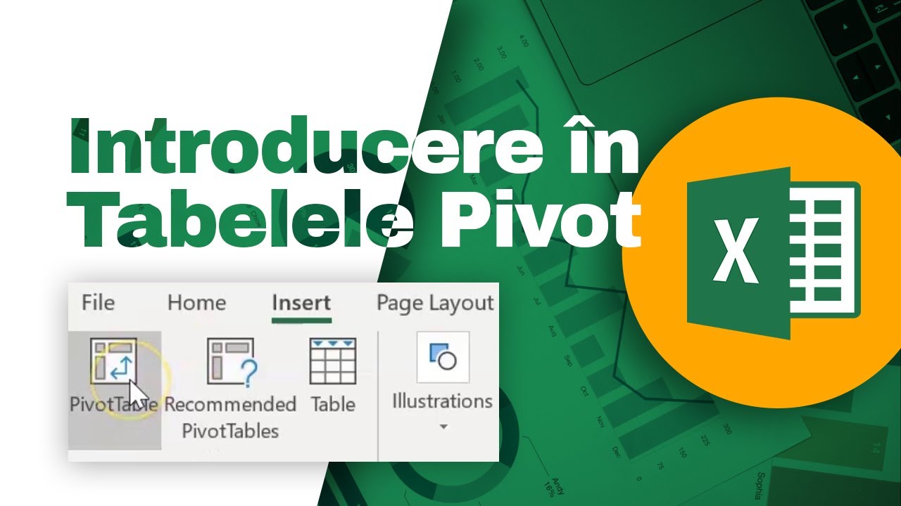 Introducere in Tabelele Pivot din Excel