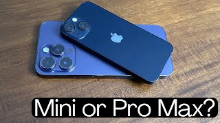 13 Mini or 14 Pro Max