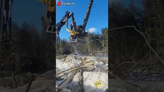 Maquina para cortar arboles rapidamente ! Wow. 🤯🤯  #shorts