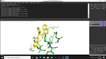 PyMOL: Active Sites in Minutes