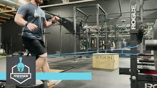 Poliquin Step Downs Heel Elevated