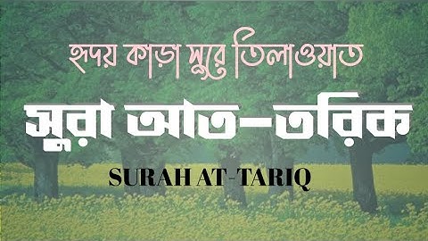হৃদয় কাড়া সুরে কোরআন তেলাওয়াত /সুরা আত তারিক /Surah at Tariq/ سوره الطارق /সুরা তারিক