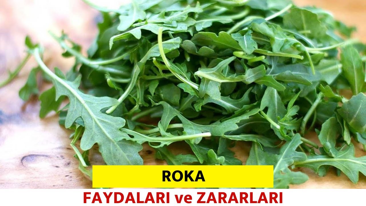 Roka Nedir? Faydaları Ve Zararları Nelerdir? – Pratik Yemek Tariflerim